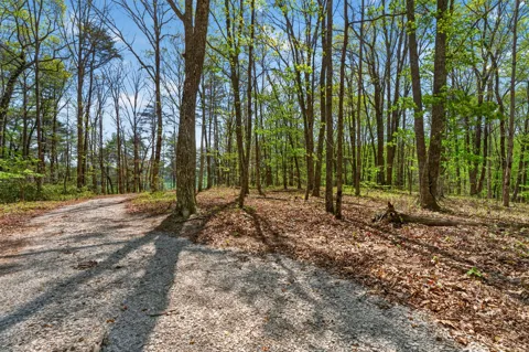2076 Timberwood Trace Lots 317&318