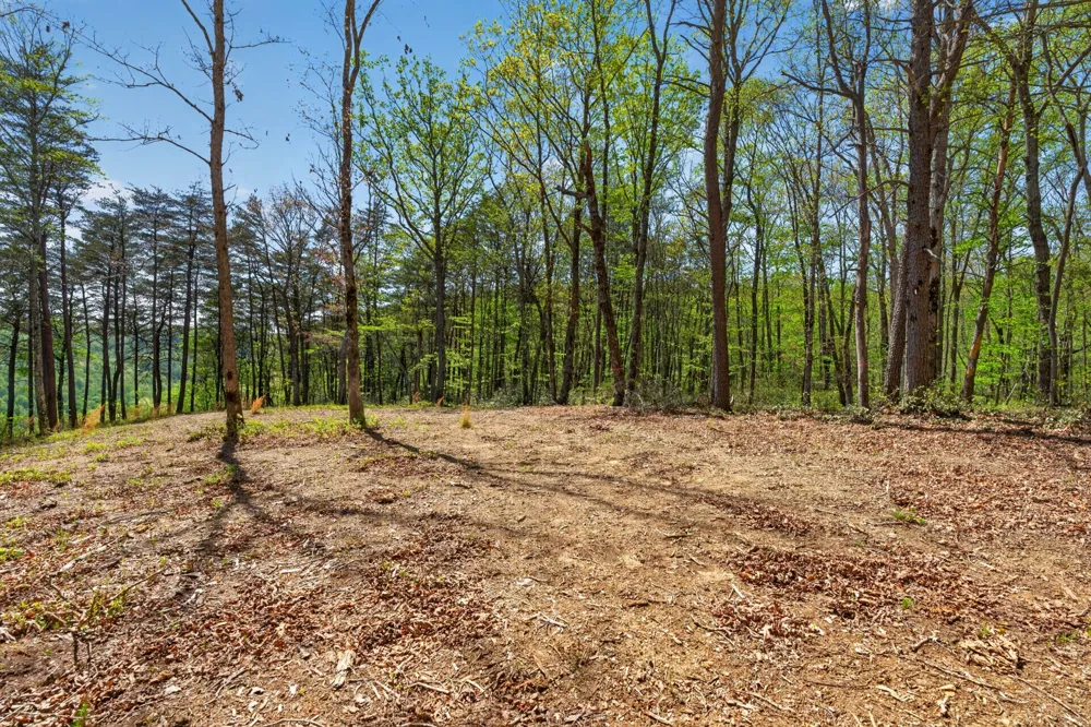 2076 Timberwood Trace Monteagle, TN 37356