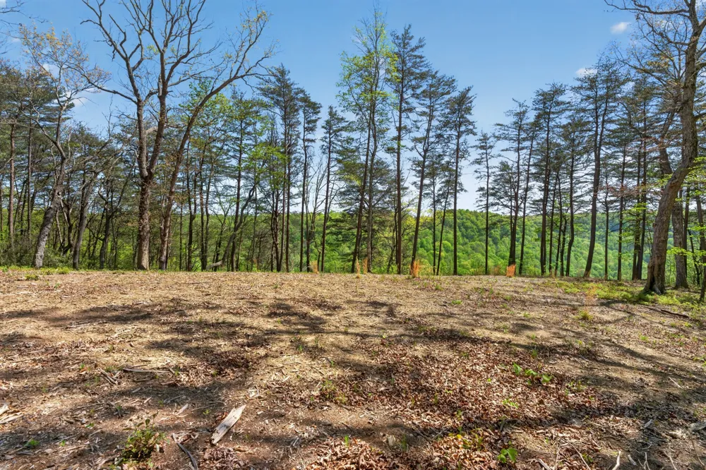 2076 Timberwood Trace Monteagle, TN 37356