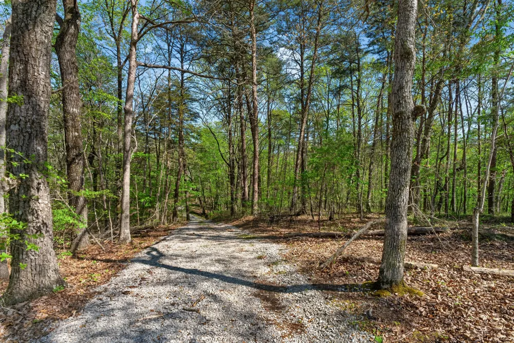 2076 Timberwood Trace Monteagle, TN 37356