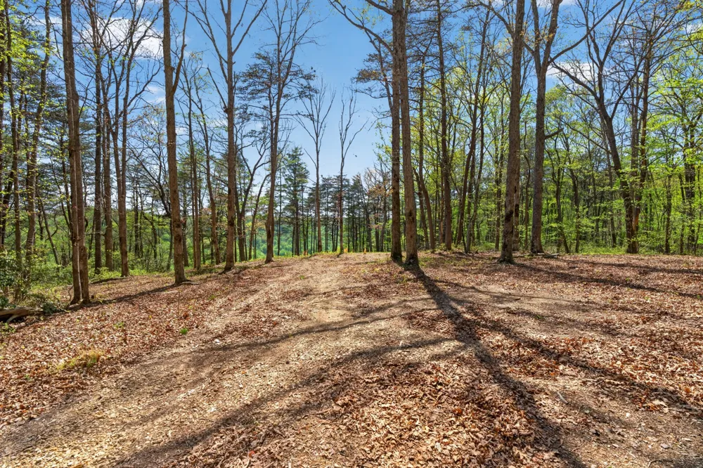 2076 Timberwood Trace Monteagle, TN 37356
