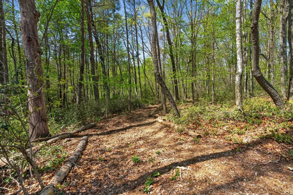 2076 Timberwood Trace Monteagle, TN 37356