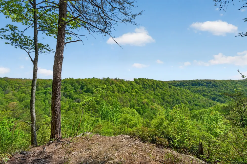 2076 Timberwood Trace Monteagle, TN 37356