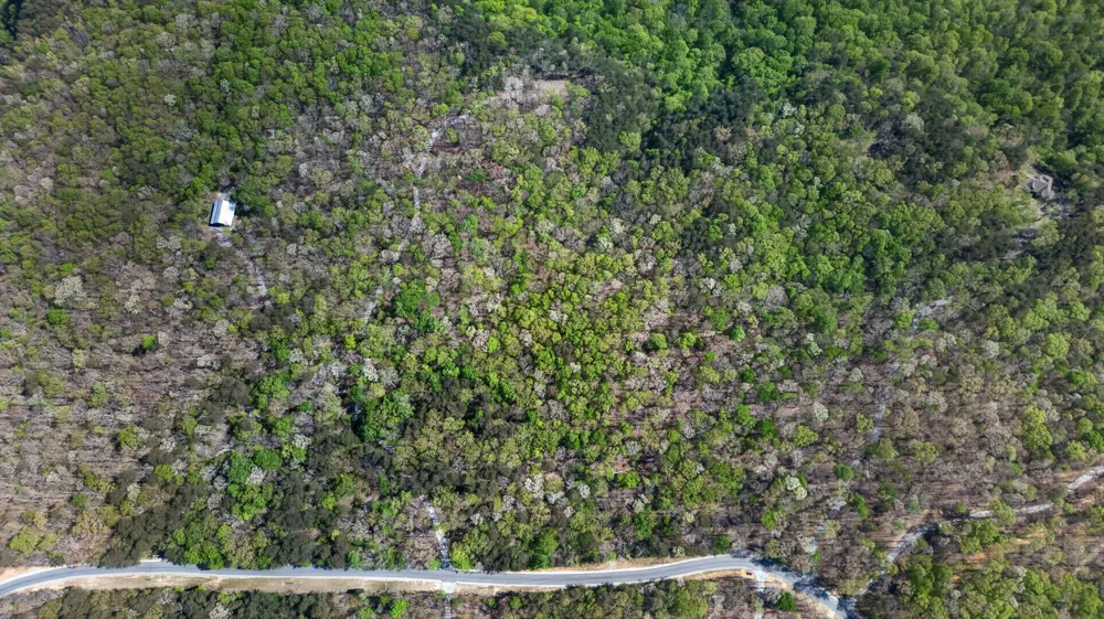 2076 Timberwood Trace Monteagle, TN 37356