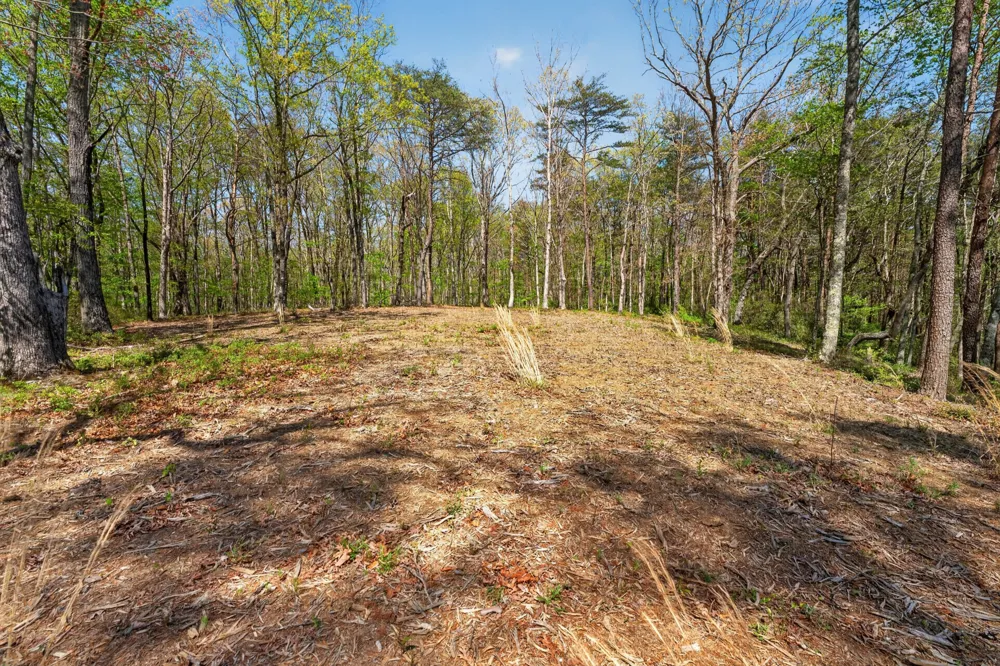 2076 Timberwood Trace Monteagle, TN 37356