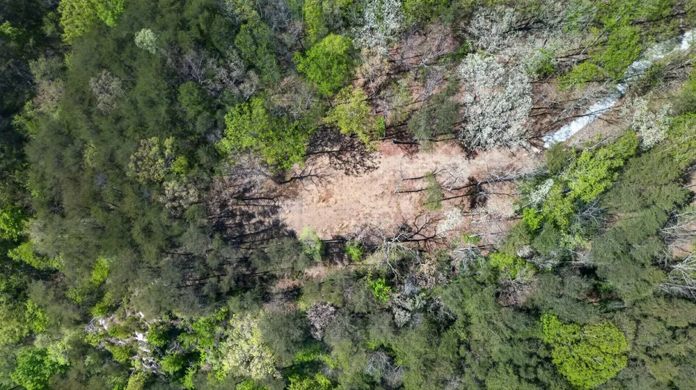 2076 Timberwood Trace Monteagle, TN 37356