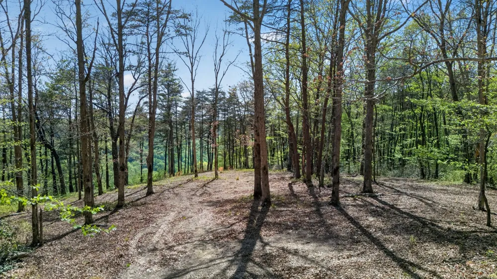 2076 Timberwood Trace Monteagle, TN 37356
