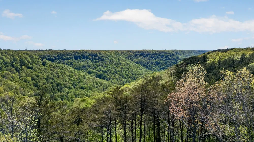 2076 Timberwood Trace Monteagle, TN 37356