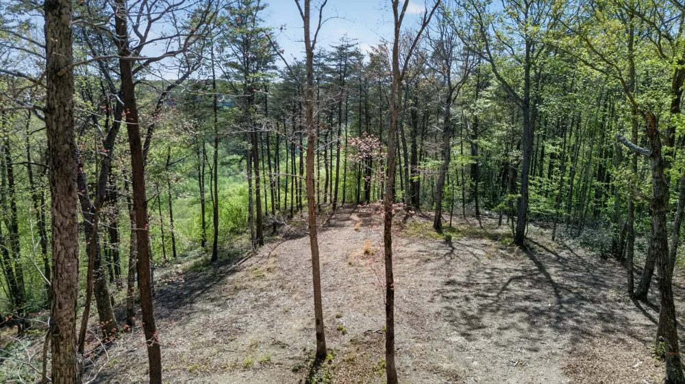 2076 Timberwood Trace Monteagle, TN 37356