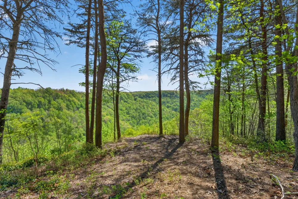 2076 Timberwood Trace Monteagle, TN 37356