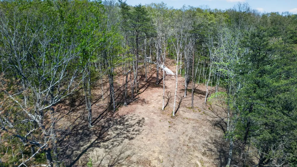 2076 Timberwood Trace Monteagle, TN 37356