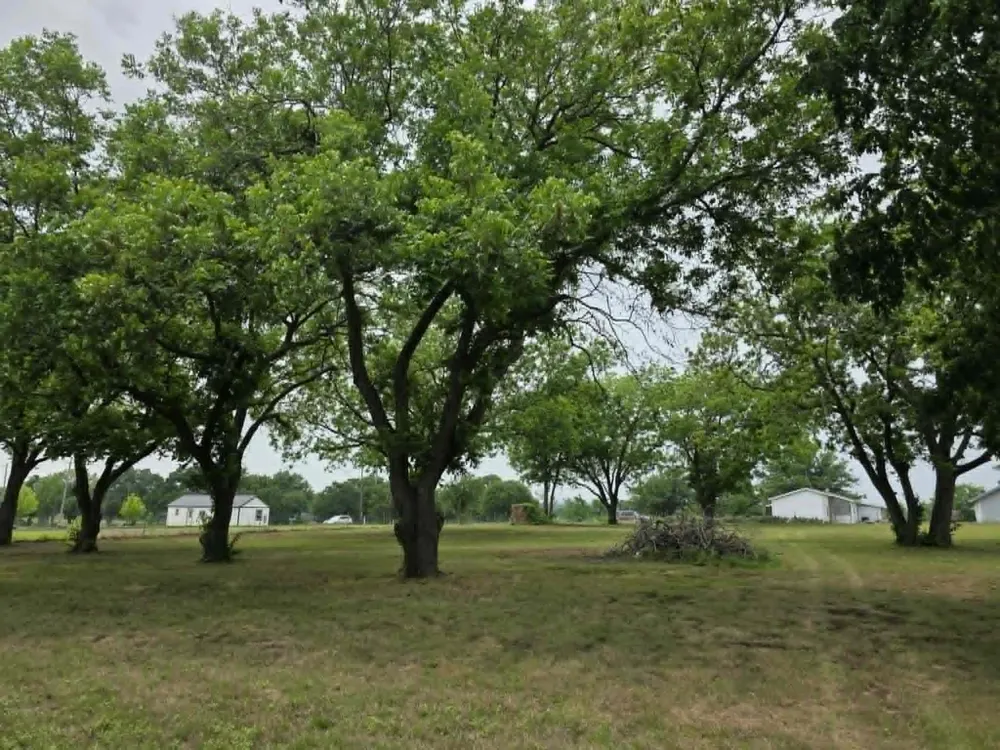 7498 State Highway 175 Montague, TX 76251