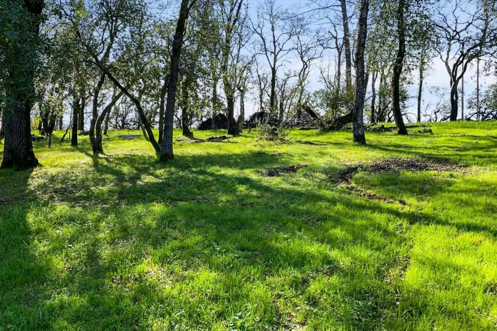 19789 Weide Way Anderson, CA 96007