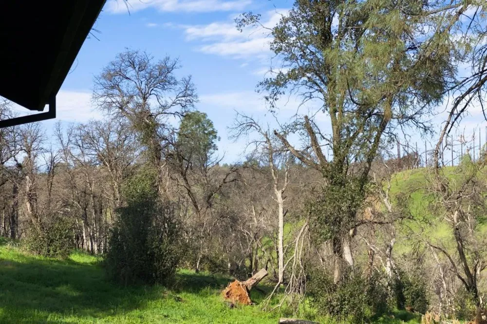 19789 Weide Way Anderson, CA 96007
