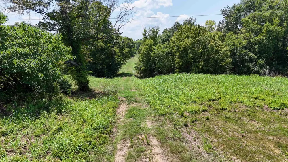 665 WATER ST Savannah, TN 38372