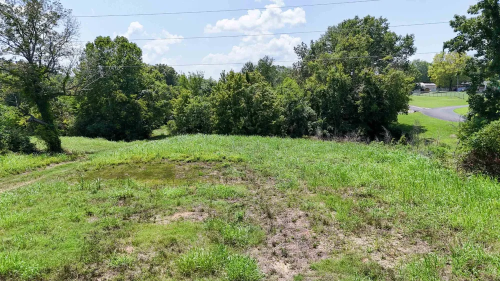 665 WATER ST Savannah, TN 38372