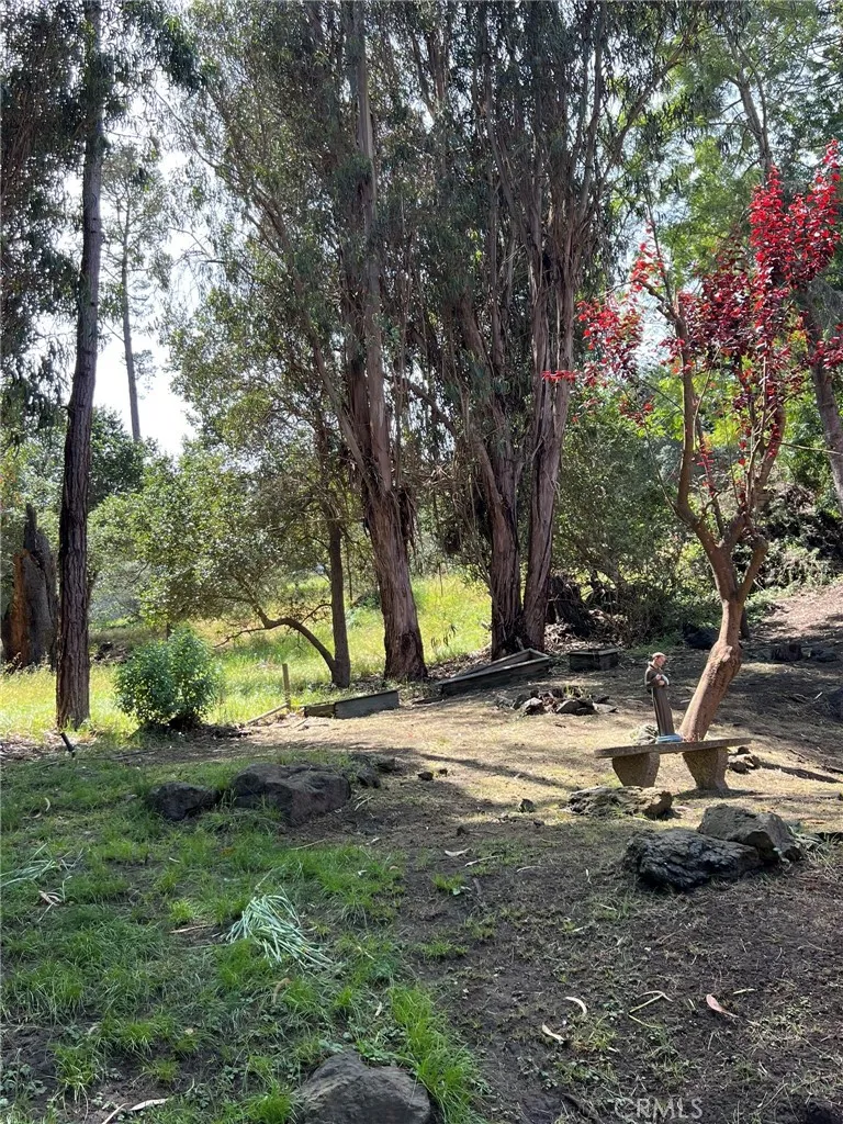 1980 Spencer Cambria, CA 93428