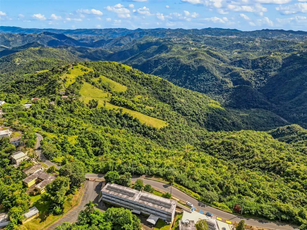 Carr 156 Km 20.1 INTERIOR BO HONDURAS Barranquitas, PR 00794