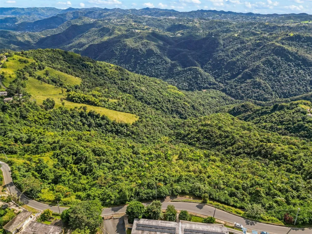 Carr 156 Km 20.1 INTERIOR BO HONDURAS Barranquitas, PR 00794