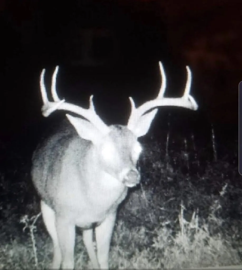 16513 FM 1159 Clarksville, TX 75426