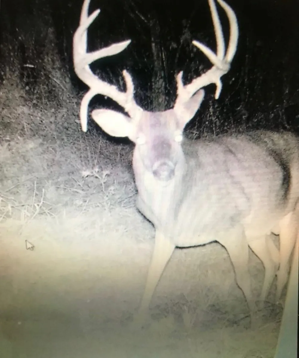 16513 FM 1159 Clarksville, TX 75426