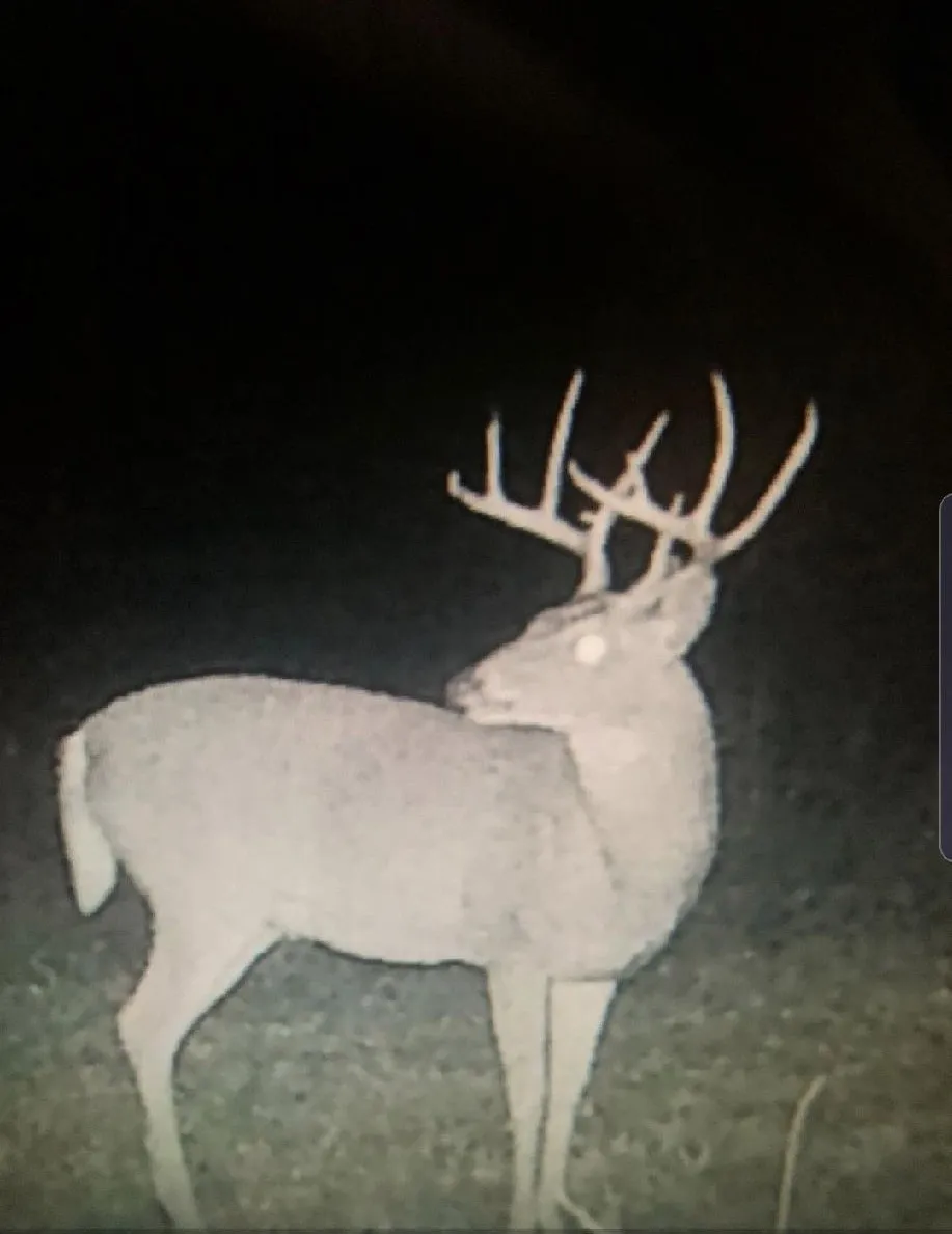 16513 FM 1159 Clarksville, TX 75426