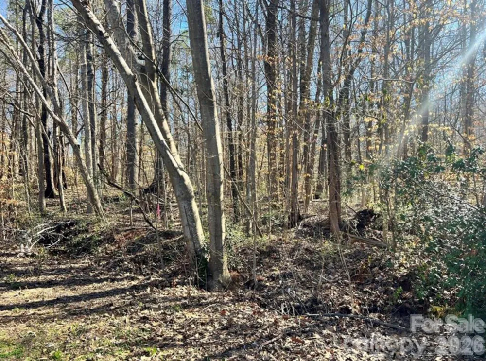 02 Lurecliff Place Fort Mill, SC 29708