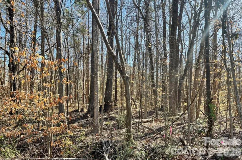 02 Lurecliff Place Fort Mill, SC 29708