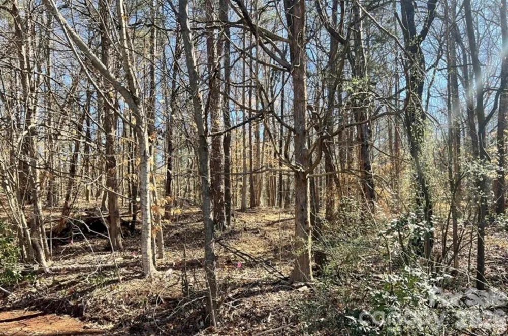 02 Lurecliff Place Fort Mill, SC 29708