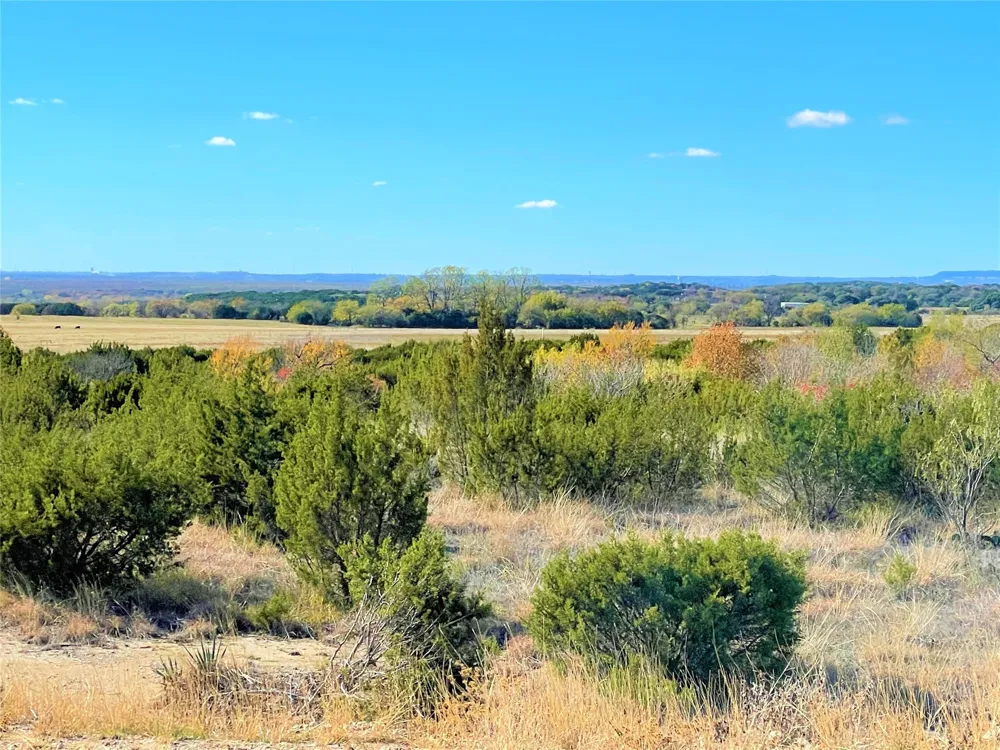 12601 Sue Lane Godley, TX 76044