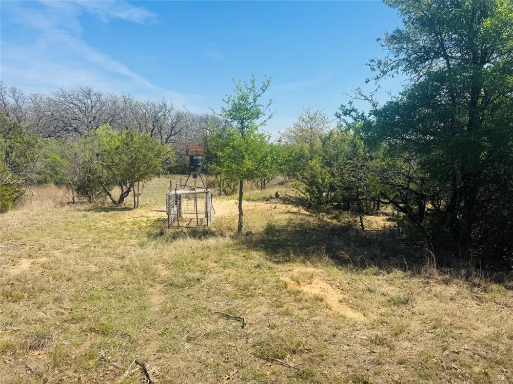 Georgia Pass Desdemona, TX 76445