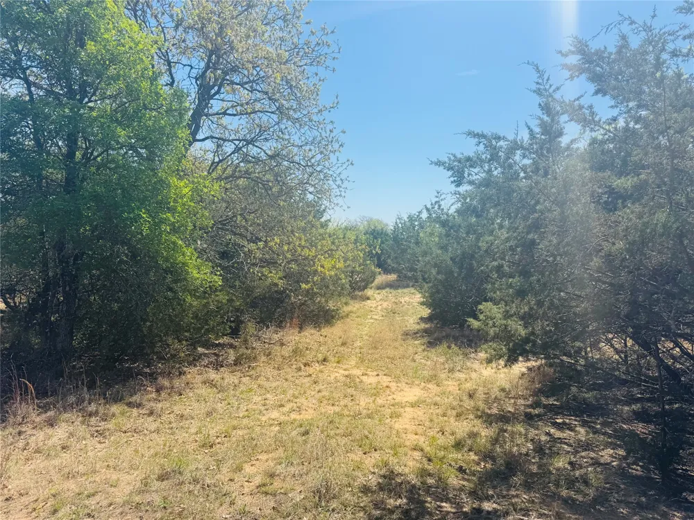 Georgia Pass Desdemona, TX 76445