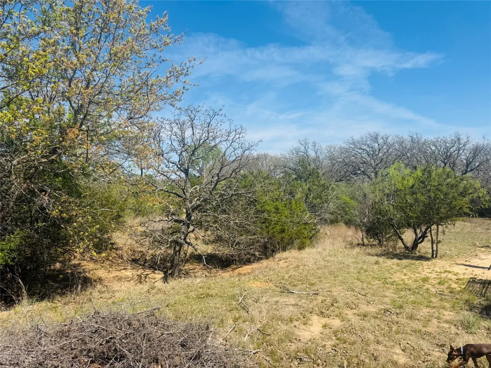 Georgia Pass Desdemona, TX 76445