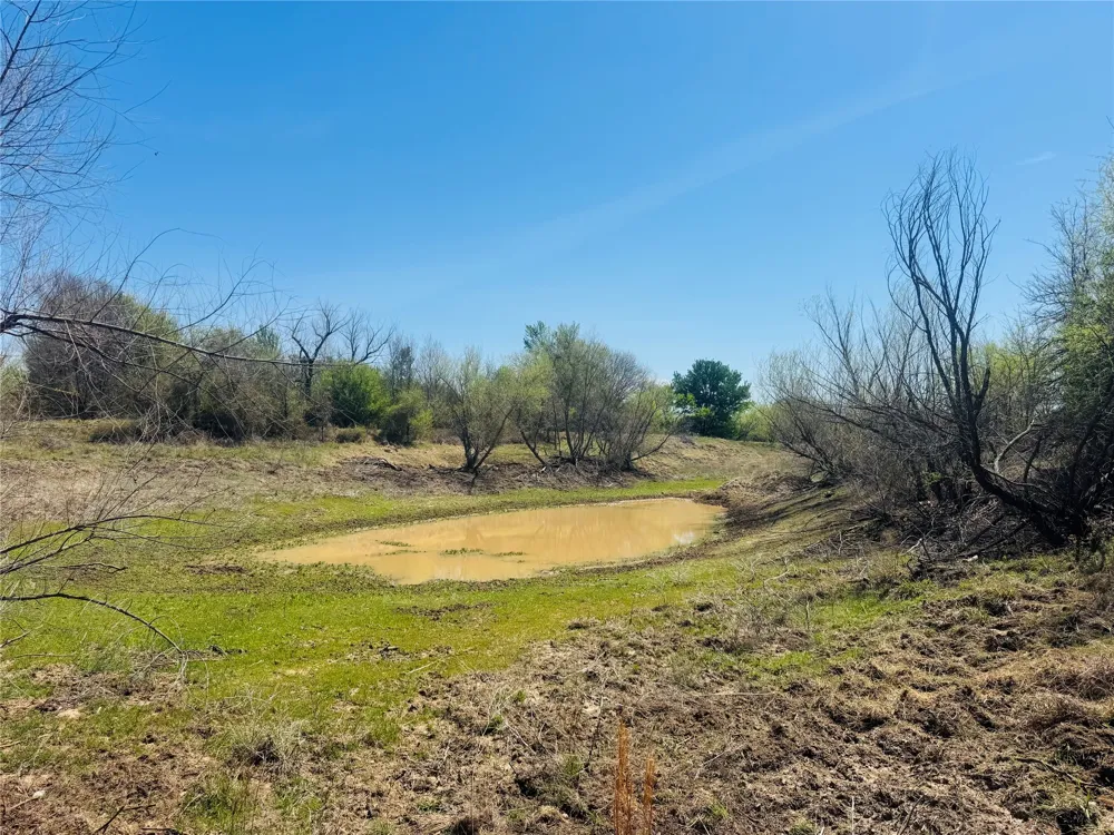 Georgia Pass Desdemona, TX 76445