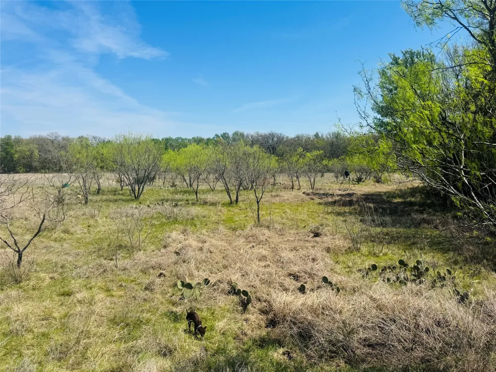 Georgia Pass Desdemona, TX 76445