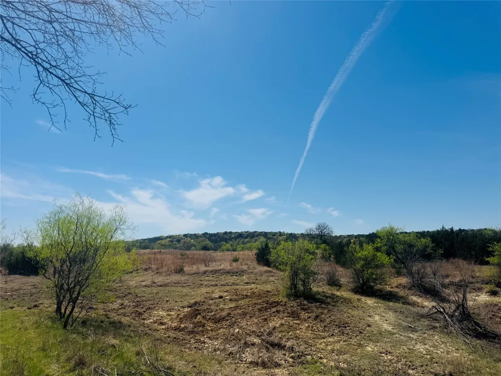 Georgia Pass Desdemona, TX 76445