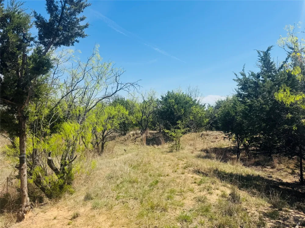 Georgia Pass Desdemona, TX 76445