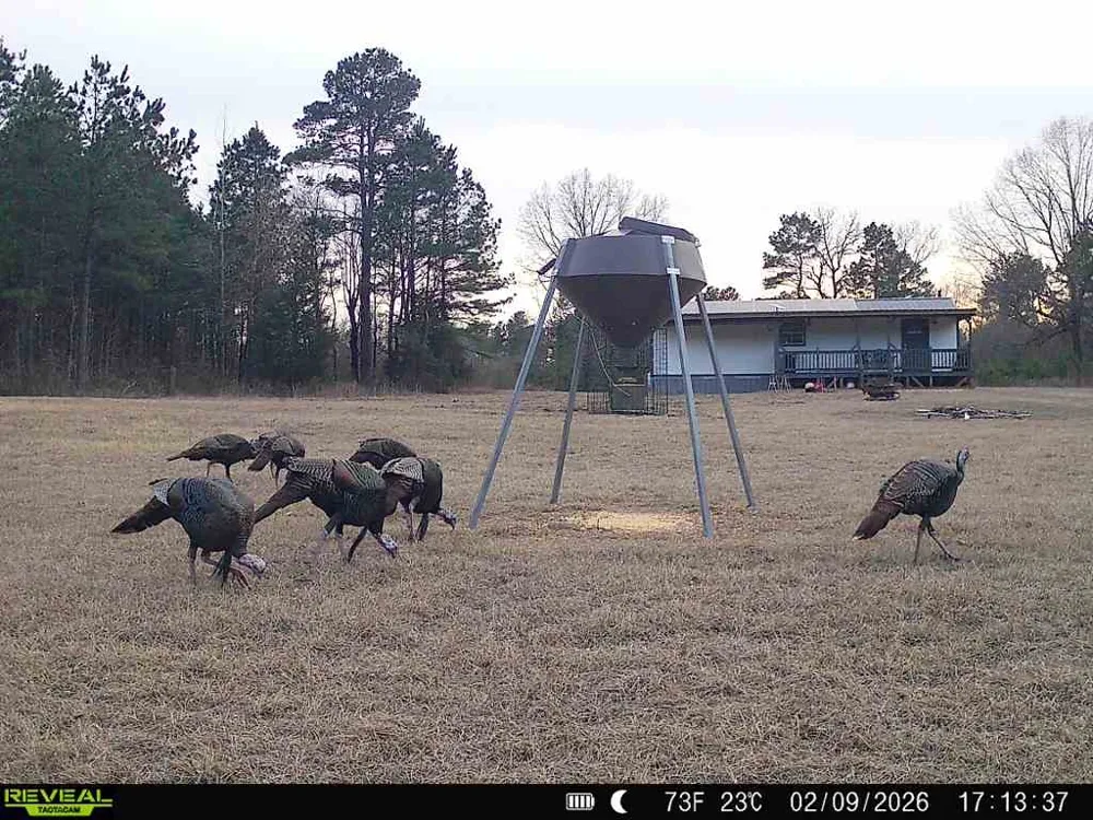 11750 FM 1159 Clarksville, TX 75426
