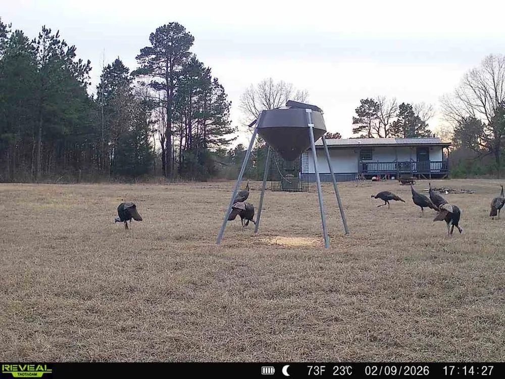 11750 FM 1159 Clarksville, TX 75426