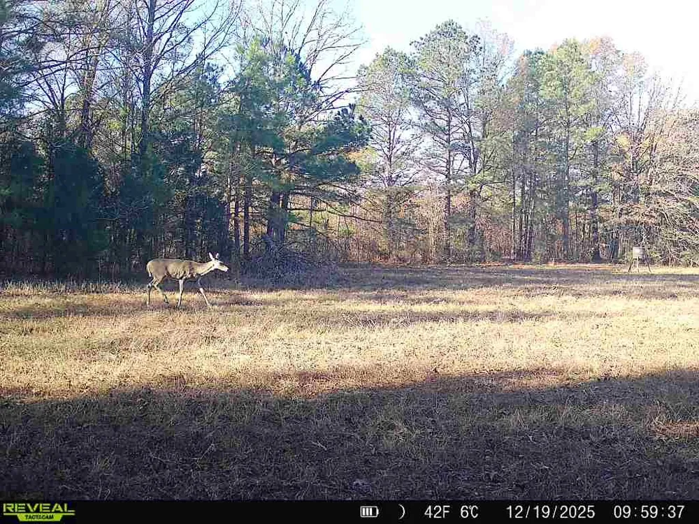 11750 FM 1159 Clarksville, TX 75426