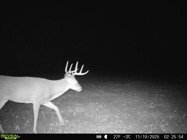 11750 FM 1159 Clarksville, TX 75426