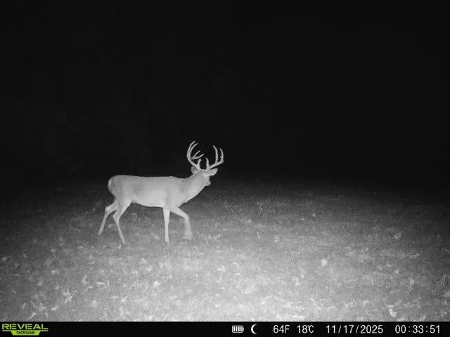 11750 FM 1159 Clarksville, TX 75426