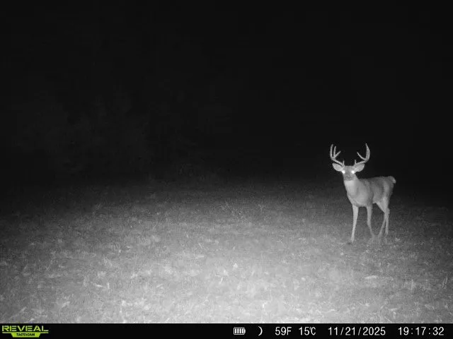 11750 FM 1159 Clarksville, TX 75426