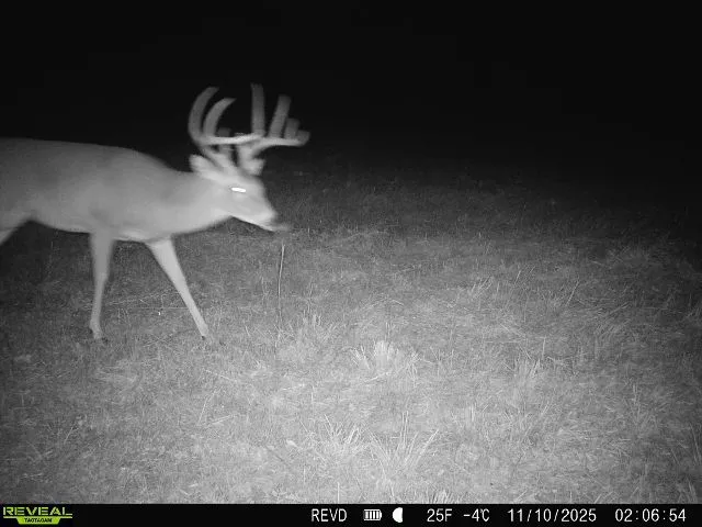 11750 FM 1159 Clarksville, TX 75426