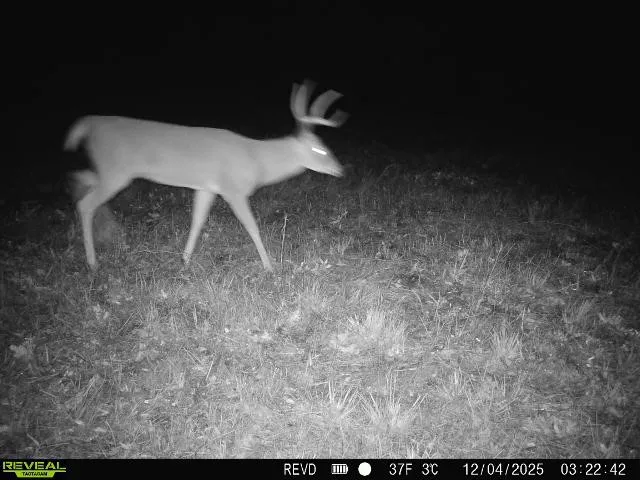 11750 FM 1159 Clarksville, TX 75426