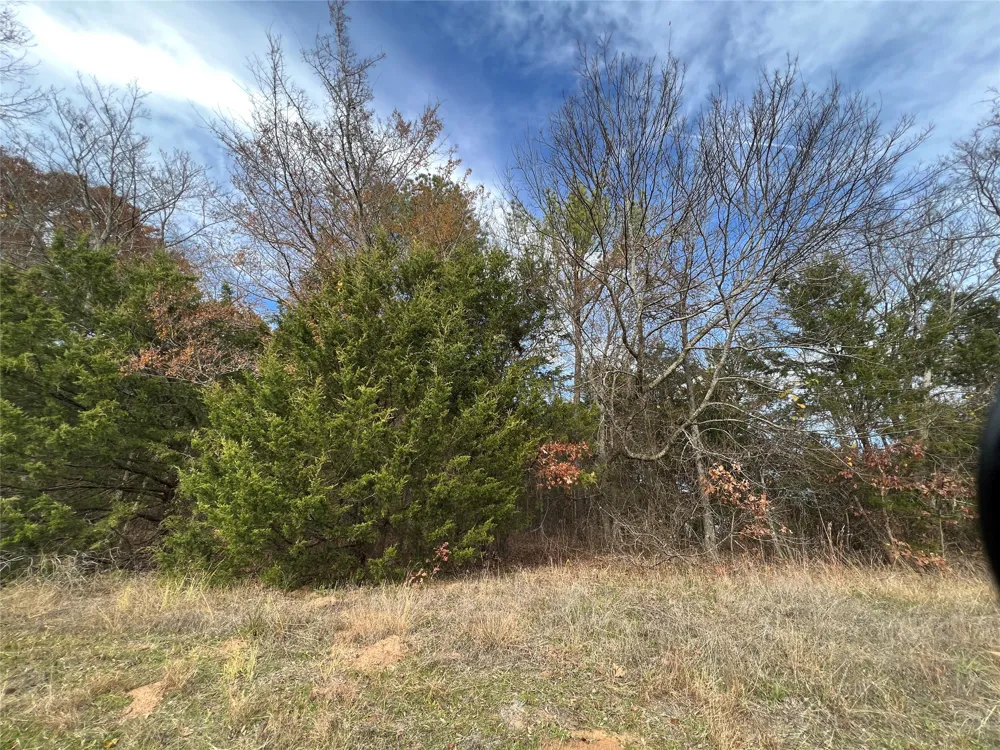 State HWY 64 Ben Wheeler, TX 75754