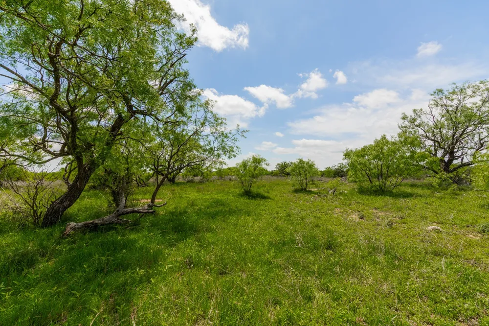 817 County Road 130 Ballinger, TX 76882