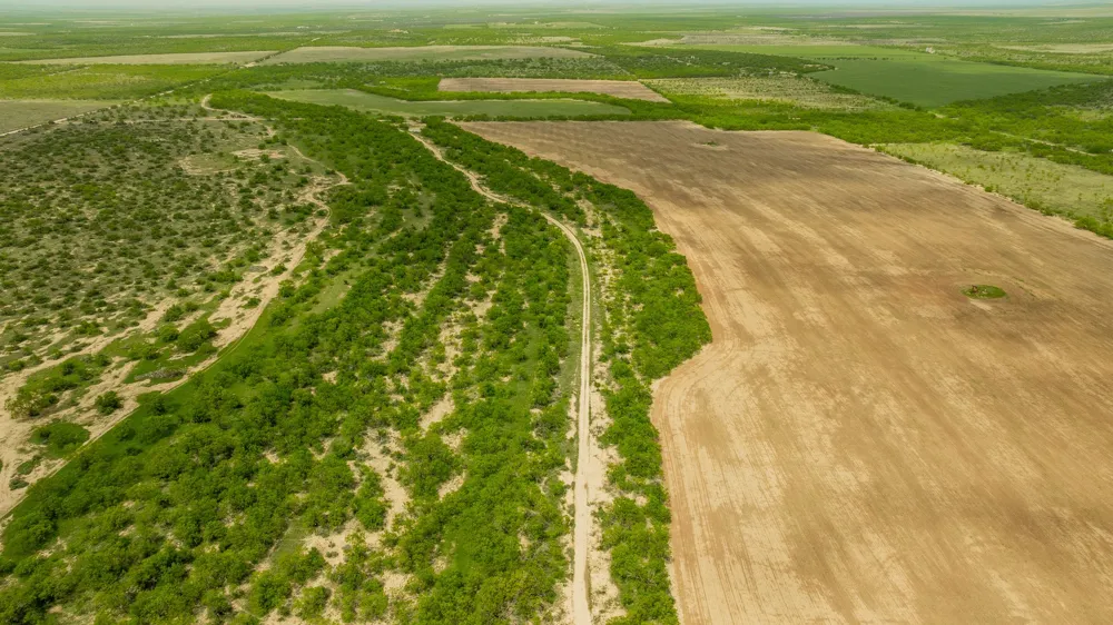 817 County Road 130 Ballinger, TX 76882