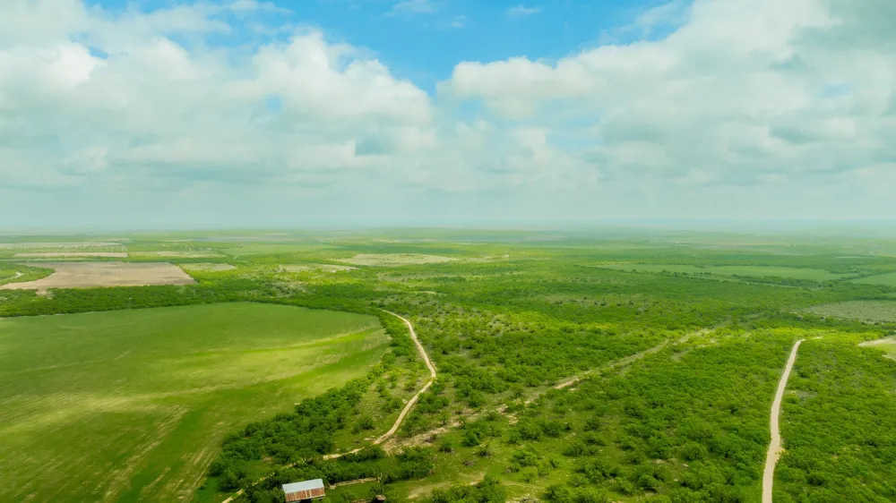 817 County Road 130 Ballinger, TX 76882
