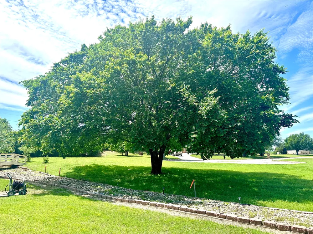 102 Palmer Dr. Comanche, TX 76442